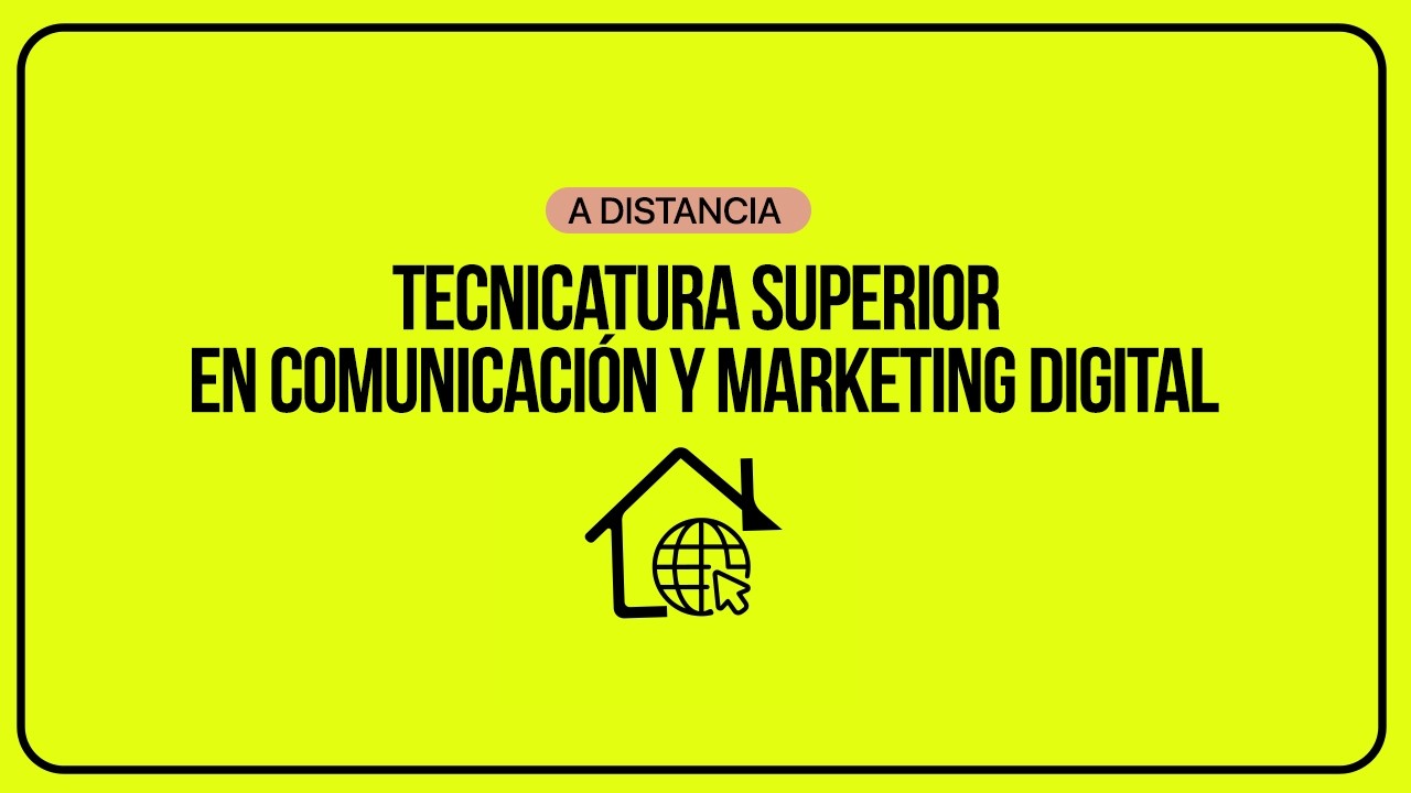 Contenido